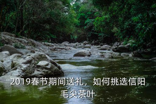 信陽毛尖怎么區分好茶,如何挑選信陽毛尖茶葉