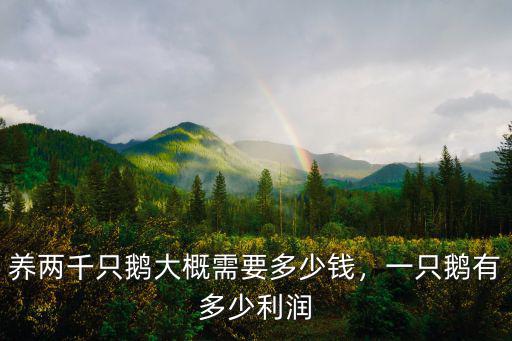 滄州三花白鵝多少錢一只,一只鵝有多少利潤
