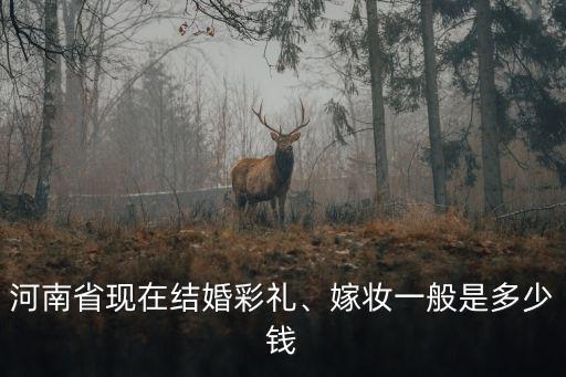 河南鹿邑彩禮錢一般給多少,河南南陽彩禮多少錢
