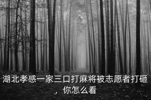 湖北孝感一家三口打麻將被志愿者打砸，你怎么看