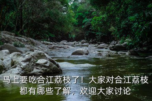 馬上要吃合江荔枝了！大家對合江荔枝都有哪些了解，歡迎大家討論
