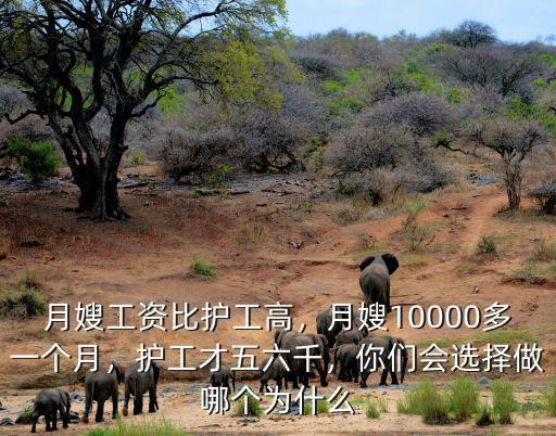月嫂工資比護(hù)工高，月嫂10000多一個(gè)月，護(hù)工才五六千，你們會(huì)選擇做哪個(gè)為什么
