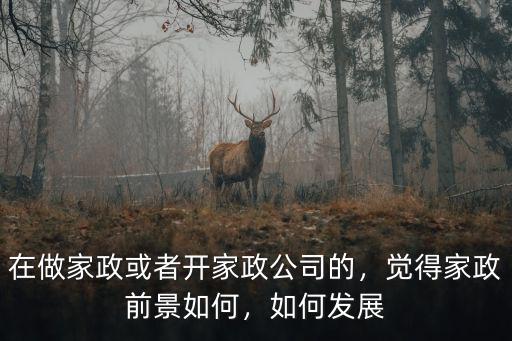 在做家政或者開家政公司的，覺得家政前景如何，如何發展