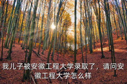 安徽工程大學日語系多少分,請問安徽工程大學怎么樣