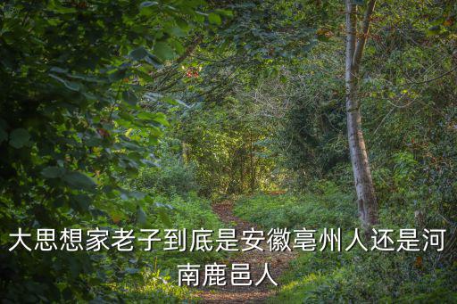 鹿邑怎么是河南的知縣管,如何評價鹿邑縣在河南的地位