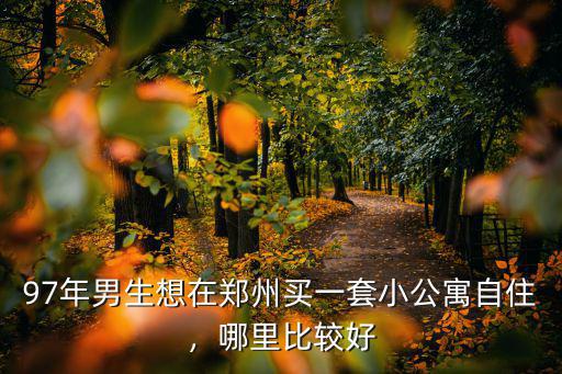 97年男生想在鄭州買一套小公寓自住，哪里比較好