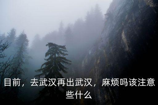 2020年怎么進武漢,去武漢再出武漢