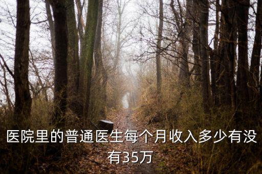 醫(yī)院里的普通醫(yī)生每個(gè)月收入多少有沒(méi)有35萬(wàn)