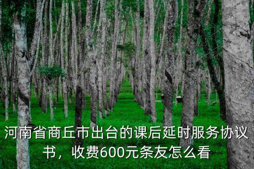 河南省商丘市出臺的課后延時服務協議書，收費600元條友怎么看