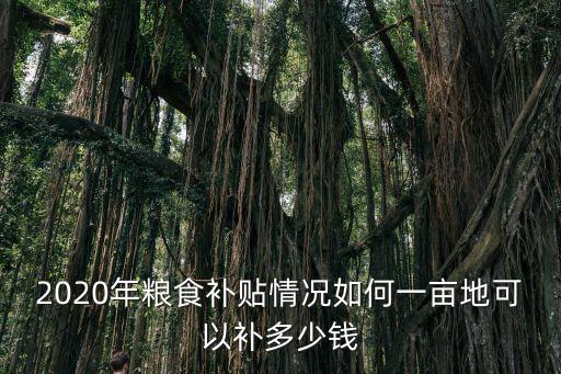 安徽淮北糧補(bǔ)每畝多少錢(qián)可下來(lái)嗎,2020糧補(bǔ)每畝多少錢(qián)