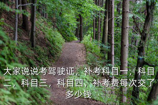 大家說說考駕駛證，補考科目一，科目二，科目三，科目四，補考費每次交了多少錢