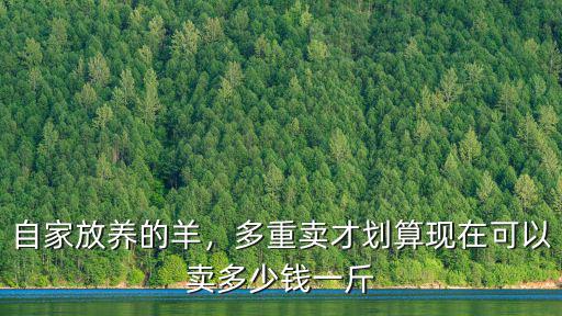 自家放養(yǎng)的羊，多重賣才劃算現(xiàn)在可以賣多少錢一斤