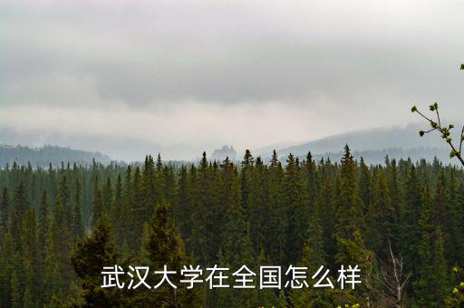 武漢大學在全國怎么樣