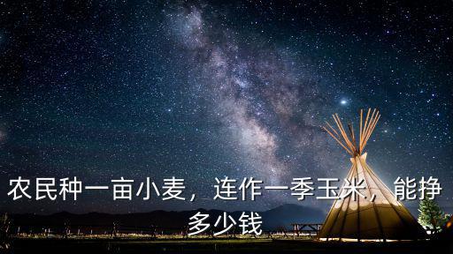 農民種一畝小麥，連作一季玉米，能掙多少錢