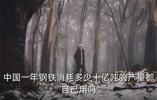 六安鋼鐵集團一年消耗多少噸煤,中國一年鋼鐵消耗多少