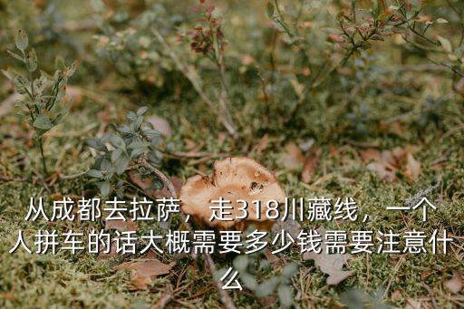 從成都去拉薩，走318川藏線，一個人拼車的話大概需要多少錢需要注意什么
