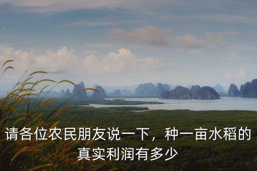 安徽水稻畝產量一般是多少,一畝產量是多少