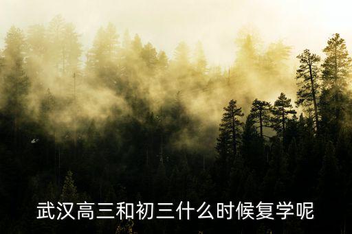 武漢怎么復學,武漢8月10日復學你怎么看