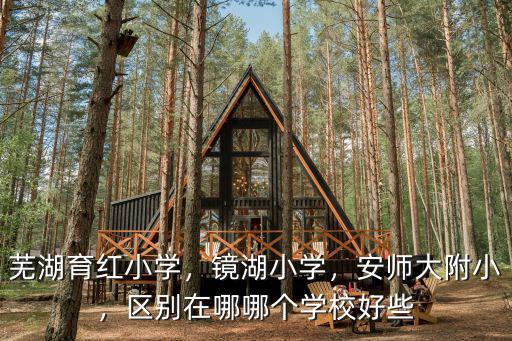 蕪湖育紅小學(xué)，鏡湖小學(xué)，安師大附小，區(qū)別在哪哪個(gè)學(xué)校好些