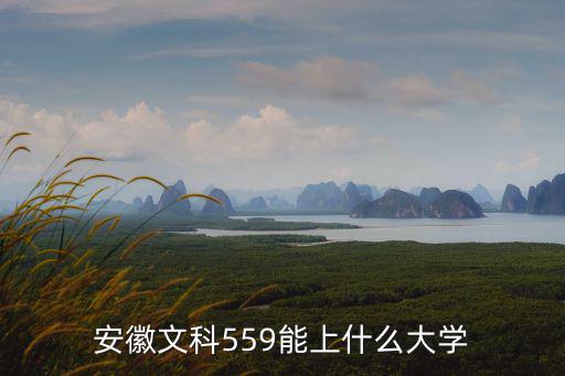 文科多少分能上安徽農業大學,安徽文科559能上什么大學