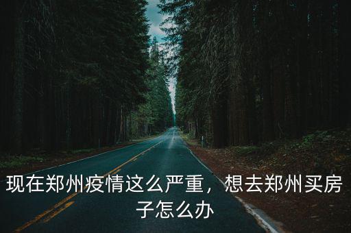 現在鄭州疫情這么嚴重，想去鄭州買房子怎么辦
