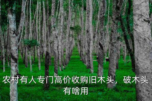 農(nóng)村有人專門高價收購舊木頭，破木頭有啥用