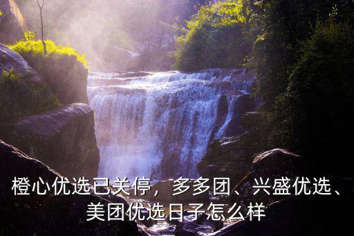 開封美團優(yōu)選怎么樣,美團優(yōu)選日子怎么樣