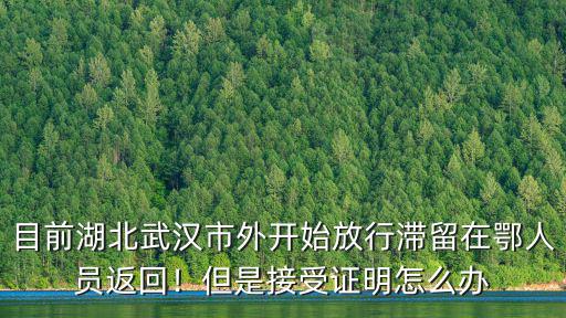 滯留在湖北荊州的外地人怎么辦,滯留在湖北的外省人來(lái)舉個(gè)手