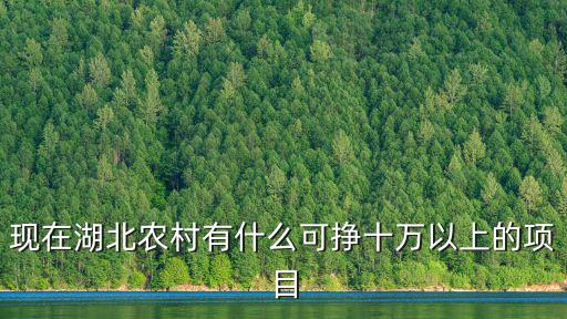 湖北大秀項目怎么樣,湖北四線城市有什么項目