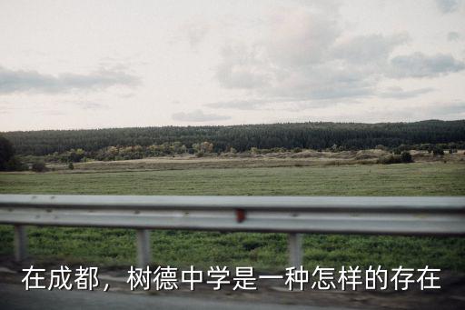 綿陽樹德中學在哪里,樹德中學是一種怎樣的存在
