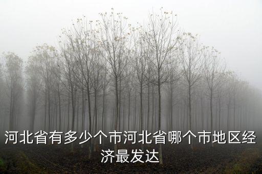 河北省有多少個(gè)億元村,河北省有多少個(gè)市