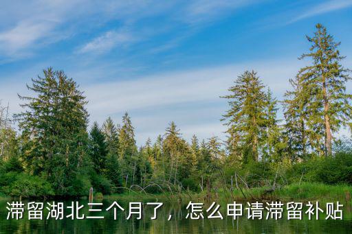 在外的湖北人怎么領補貼,怎么申請創業補貼湖北武漢