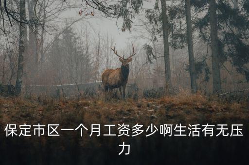 保定市區(qū)一個(gè)月工資多少啊生活有無(wú)壓力