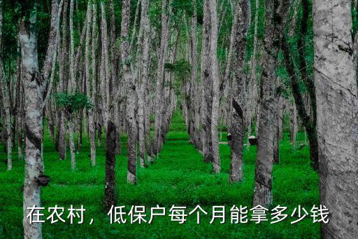 淮南低保戶每個月多少錢,2021低保戶每個月多少錢