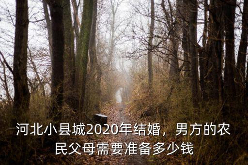 河北小縣城2020年結婚，男方的農民父母需要準備多少錢