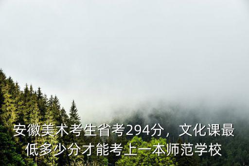 安徽美術(shù)考生省考294分，文化課最低多少分才能考上一本師范學(xué)校