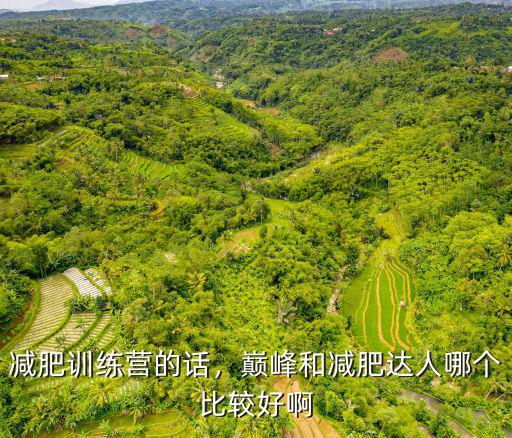 新鄉巔峰減重減肥訓練營價格怎么計算,減肥訓練營的話