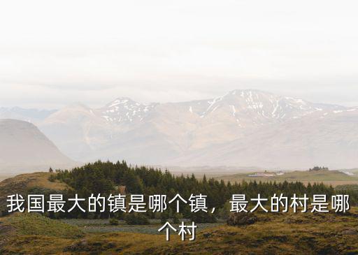我國最大的鎮是哪個鎮，最大的村是哪個村