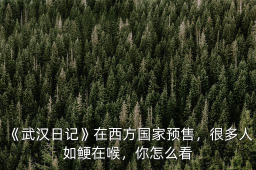 外國人怎么畫武漢,外國網(wǎng)友是怎么評論武漢的