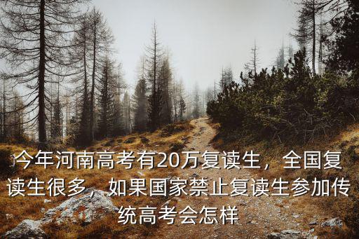 今年河南高考有20萬復讀生，全國復讀生很多，如果國家禁止復讀生參加傳統高考會怎樣