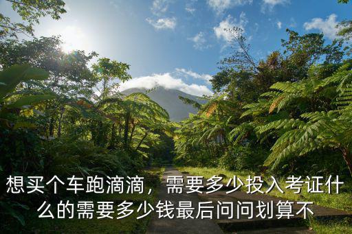 想買個車跑滴滴，需要多少投入考證什么的需要多少錢最后問問劃算不