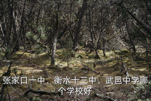 2017衡水十三中在校生多少人,衡水十三中三個(gè)學(xué)校怎么排名