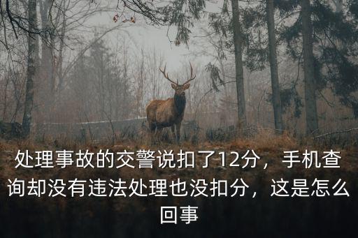 鄭州12123處理不扣分怎么回事,處理事故的交警說扣了12分