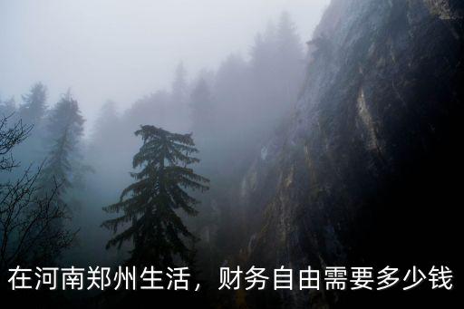 河南省年產(chǎn)值多少錢,財(cái)務(wù)自由需要多少錢