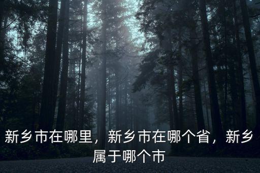 新鄉市鳳泉區房管局在哪里,新鄉市在哪里