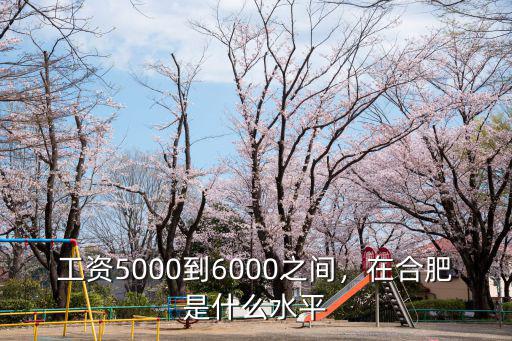 工資5000到6000之間，在合肥是什么水平