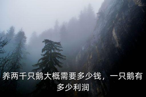 肉鵝石家莊市苗多少錢一只,一只鵝有多少利潤