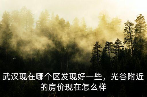 武漢市莆田區房子怎么樣,武漢市內買不起房