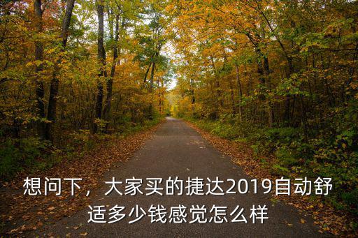 想問下，大家買的捷達(dá)2019自動舒適多少錢感覺怎么樣