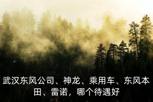 武漢東風公司、神龍、乘用車、東風本田、雷諾，哪個待遇好
